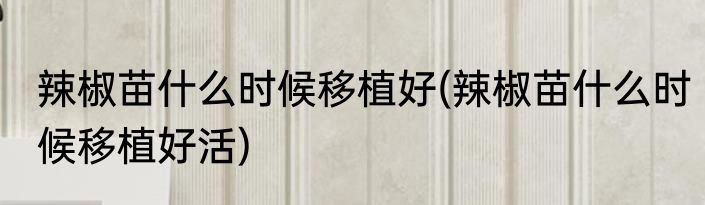 辣椒苗什么时候移植好(辣椒苗什么时候移植好活)