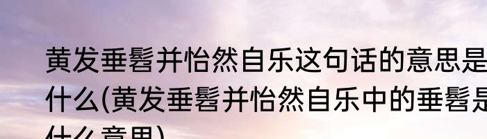 黄发垂髫并怡然自乐这句话的意思是什么(黄发垂髫并怡然自乐中的垂髫是什么意思)