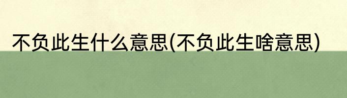 不负此生什么意思(不负此生啥意思)