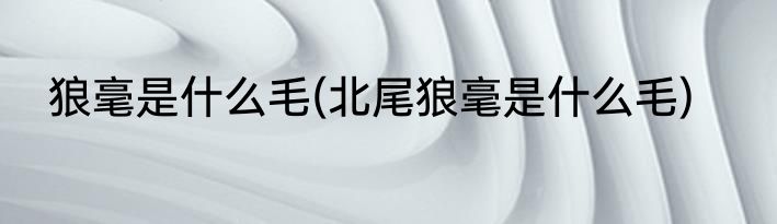 狼毫是什么毛(北尾狼毫是什么毛)