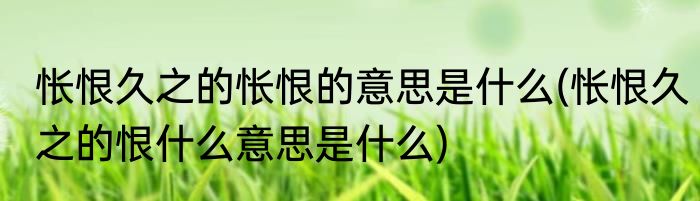 怅恨久之的怅恨的意思是什么(怅恨久之的恨什么意思是什么)