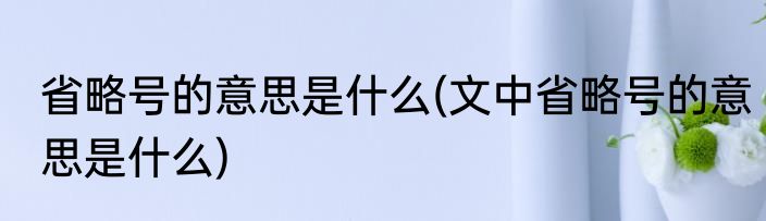 省略号的意思是什么(文中省略号的意思是什么)