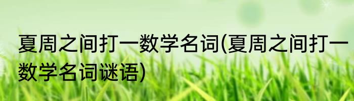 夏周之间打一数学名词(夏周之间打一数学名词谜语)