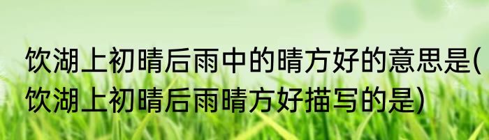 饮湖上初晴后雨中的晴方好的意思是(饮湖上初晴后雨晴方好描写的是)
