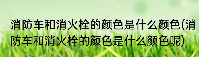 消防车和消火栓的颜色是什么颜色(消防车和消火栓的颜色是什么颜色呢)