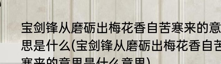 宝剑锋从磨砺出梅花香自苦寒来的意思是什么(宝剑锋从磨砺出梅花香自苦寒来的意思是什么意思)