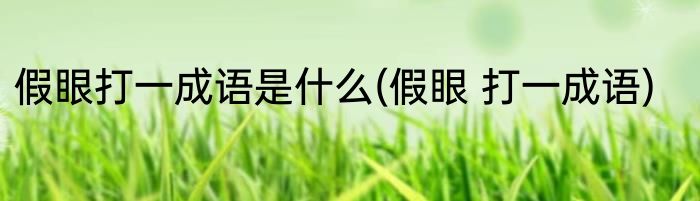 假眼打一成语是什么(假眼 打一成语)