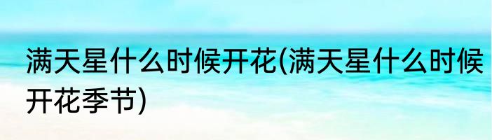 满天星什么时候开花(满天星什么时候开花季节)