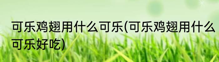 可乐鸡翅用什么可乐(可乐鸡翅用什么可乐好吃)