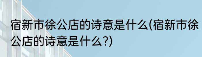 宿新市徐公店的诗意是什么(宿新市徐公店的诗意是什么?)