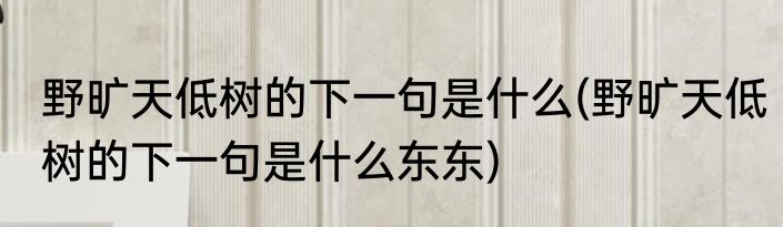 野旷天低树的下一句是什么(野旷天低树的下一句是什么东东)