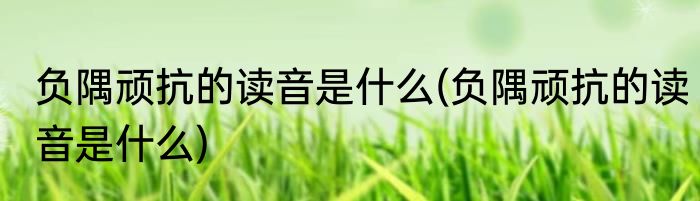 负隅顽抗的读音是什么(负隅顽抗的读音是什么)