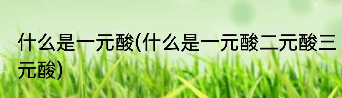 什么是一元酸(什么是一元酸二元酸三元酸)