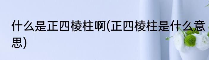 什么是正四棱柱啊(正四棱柱是什么意思)