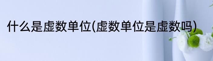什么是虚数单位(虚数单位是虚数吗)