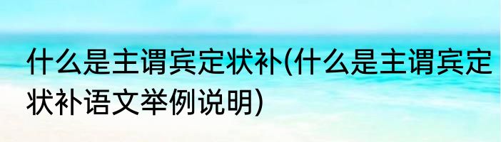 什么是主谓宾定状补(什么是主谓宾定状补语文举例说明)