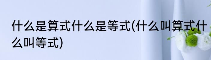 什么是算式什么是等式(什么叫算式什么叫等式)