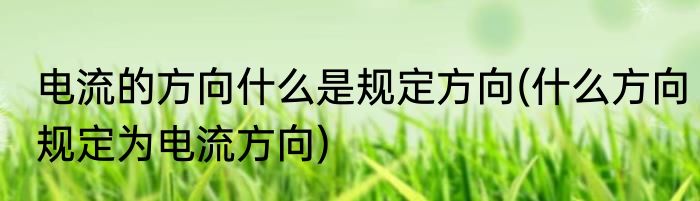 电流的方向什么是规定方向(什么方向规定为电流方向)