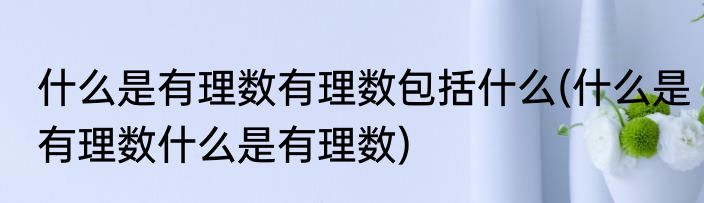 什么是有理数有理数包括什么(什么是有理数什么是有理数)