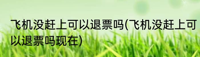 飞机没赶上可以退票吗(飞机没赶上可以退票吗现在)