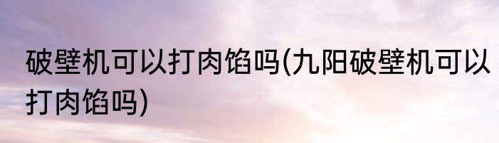 破壁机可以打肉馅吗(九阳破壁机可以打肉馅吗)