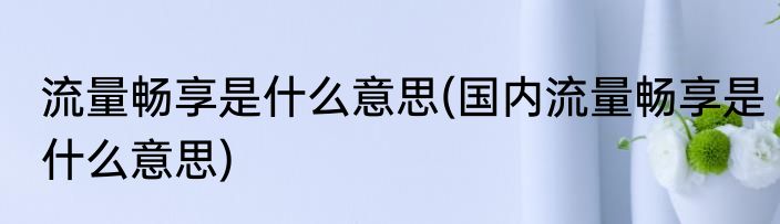 流量畅享是什么意思(国内流量畅享是什么意思)