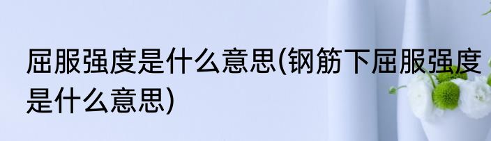 屈服强度是什么意思(钢筋下屈服强度是什么意思)