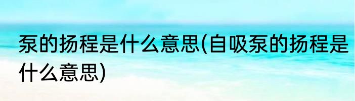 泵的扬程是什么意思(自吸泵的扬程是什么意思)