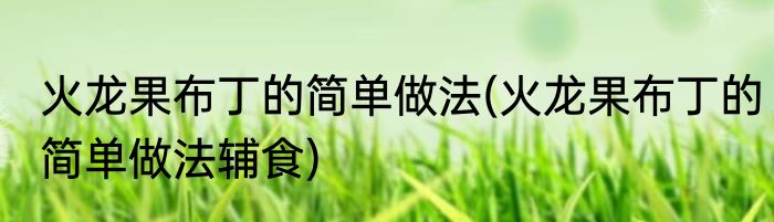 火龙果布丁的简单做法(火龙果布丁的简单做法辅食)