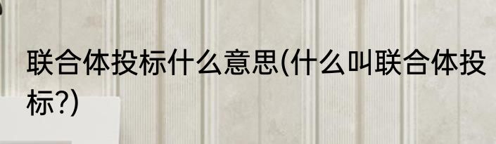 联合体投标什么意思(什么叫联合体投标?)