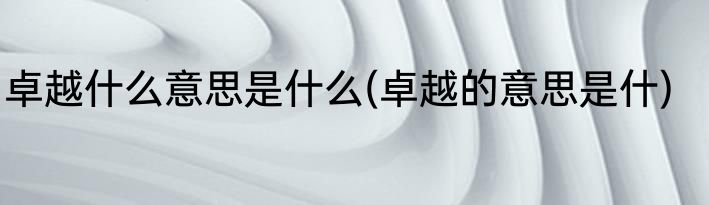 卓越什么意思是什么(卓越的意思是什)