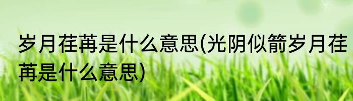 岁月荏苒是什么意思(光阴似箭岁月荏苒是什么意思)