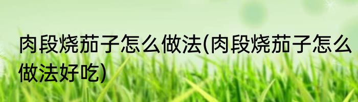 肉段烧茄子怎么做法(肉段烧茄子怎么做法好吃)