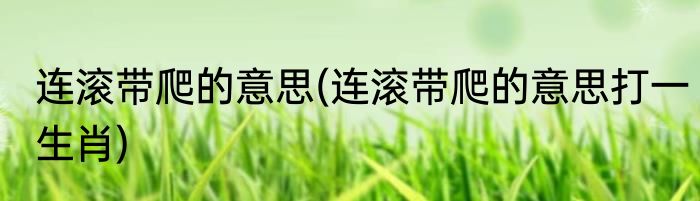 连滚带爬的意思(连滚带爬的意思打一生肖)