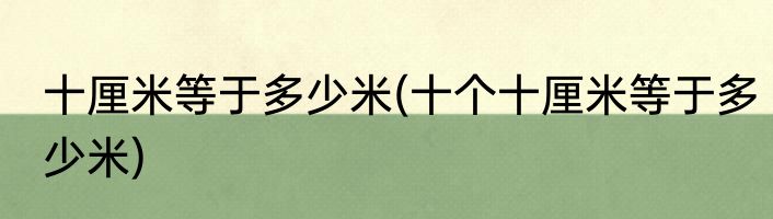 十厘米等于多少米(十个十厘米等于多少米)