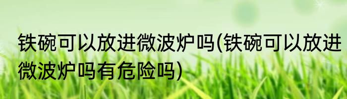铁碗可以放进微波炉吗(铁碗可以放进微波炉吗有危险吗)