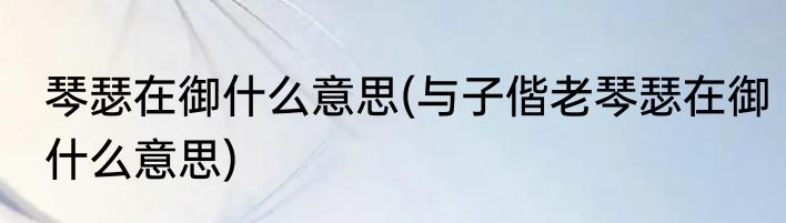 琴瑟在御什么意思(与子偕老琴瑟在御什么意思)
