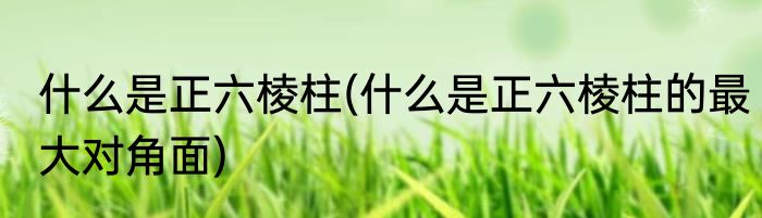 什么是正六棱柱(什么是正六棱柱的最大对角面)