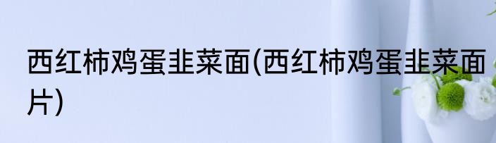 西红柿鸡蛋韭菜面(西红柿鸡蛋韭菜面片)