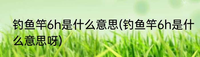 钓鱼竿6h是什么意思(钓鱼竿6h是什么意思呀)