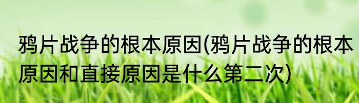 鸦片战争的根本原因(鸦片战争的根本原因和直接原因是什么第二次)