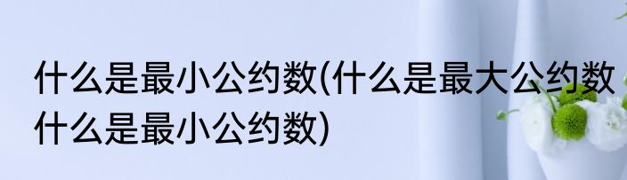 什么是最小公约数(什么是最大公约数什么是最小公约数)