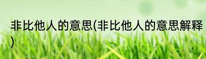 非比他人的意思(非比他人的意思解释)