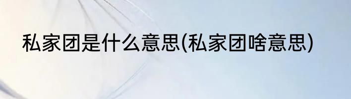 私家团是什么意思(私家团啥意思)