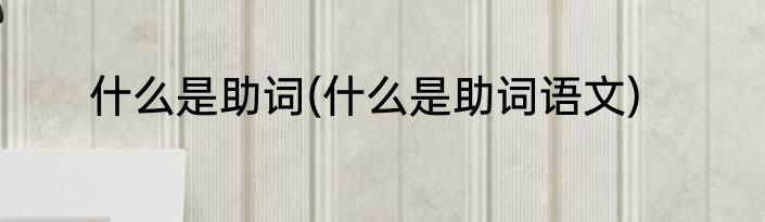 什么是助词(什么是助词语文)