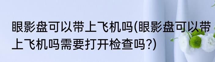眼影盘可以带上飞机吗(眼影盘可以带上飞机吗需要打开检查吗?)