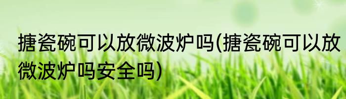 搪瓷碗可以放微波炉吗(搪瓷碗可以放微波炉吗安全吗)