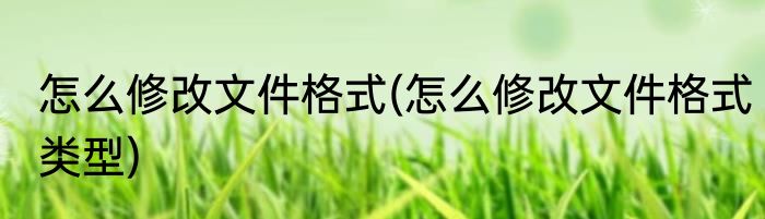 怎么修改文件格式(怎么修改文件格式类型)