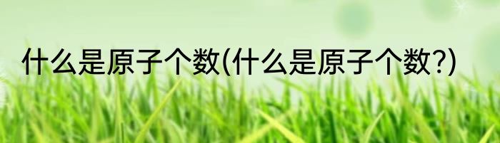 什么是原子个数(什么是原子个数?)