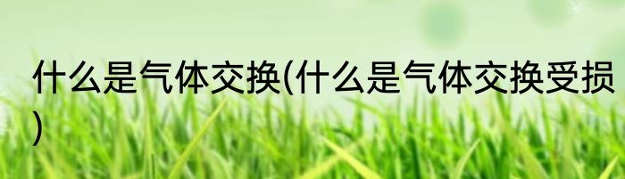 什么是气体交换(什么是气体交换受损)